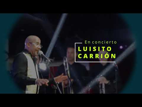 Modelo de la noche   Luisito Carrión en vivo Madrid