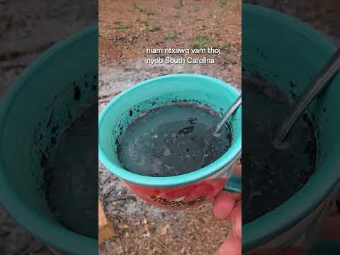 Qhia Tshuaj Zoo Tsam Plab Zoo Plab Nchi Nchi Plab Nruj Nruj Muaj Muaj Pa 1/10/2025