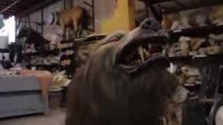 Creature Effects Inc 300 wolf