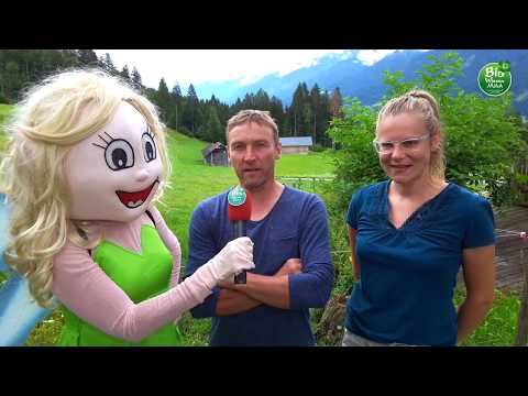 Biowiesenmilch-Kuhmarathon 2018: Kandidatin Tusi vom vulgo Gasper