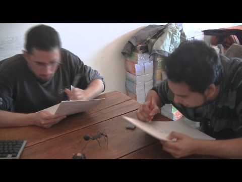 Publicidad - Duelo de Dibujantes