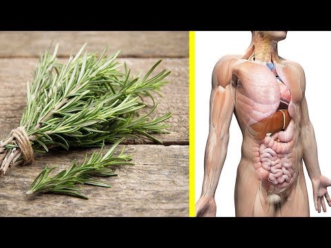 Komprimiert Prostatitis zu Hause zu behandeln Mikroklistieren Kamille Prostatitis