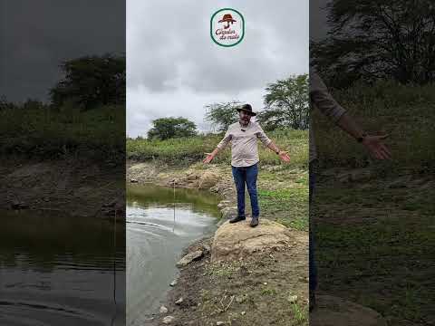🌾SÍTIO FARINHA - 114 HECTARES ÀS MARGENS DA BR-230 POR APENAS R$ 570 MIL! 🌾