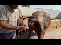 Prolapse Of Uterus L Dr Umar Khan