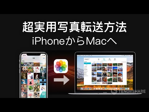 iPhone を Mac に接続: 写真、音楽などを転送します。