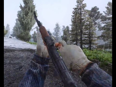 S.T.A.L.K.E.R. Anomaly 1.5.1 Escape From Pripyat mod  | All pistols, assault rifles, machine guns