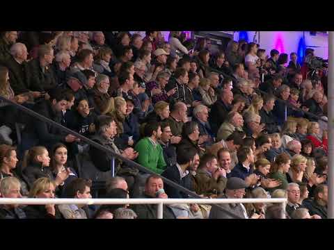 Chagrano Hengstkollektion Englisch 2019