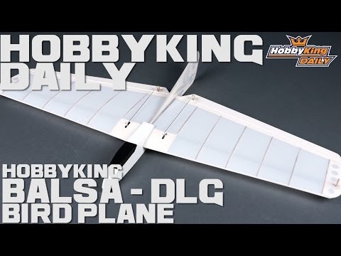 HobbyKing Daily - HK Bird Plane Balsa DLG