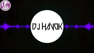 DJ Havok - VirtualRiot Mix