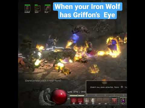 When your Iron Wolf wears Griffon’s Eye, Enigma and Crescent Moon 👍🏼👍🏼 #diablo2