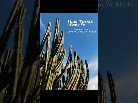 Inicios del Colegio de Camareros en Las Tunas, Santa Fe