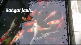 Download lagu [indo sub] (BTS Suga) Agust D Feat Suran - So Far Away (Lirik) mp3