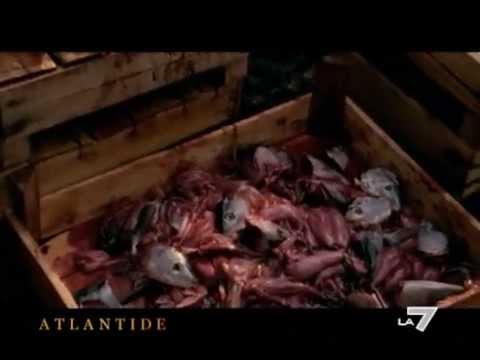 DOCUMENTARIO -  Dracula - Il Principe Della Valacchia  - VLAD III L'IMPALATORE