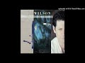 Brian Wilson - One For The Boys - Vinyl Rip