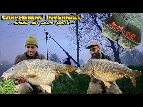 Carpfishing Invernale in Fiume ! Un video DIVERSO dal Solito !