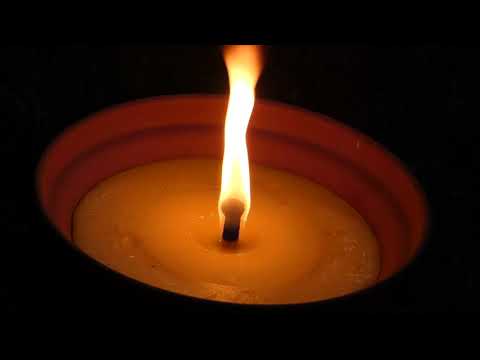 Mira'm als ulls _ Projecte Mau 2021