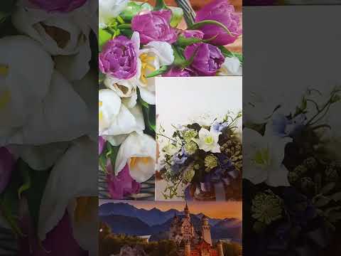 James Barrie-Peter Pan și Wendy.Căminul fericit