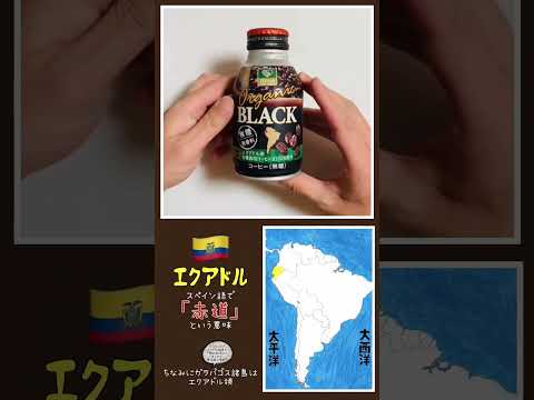 薬学科 赤道の位置
