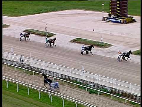 Trotto 08/11/2019 - prova di qualifica