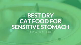 Best Dry Cat Food for Sensitive Stomach in 2025
