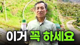 1차 방제 꼭 이걸 하셔야 합니다 ㅣ 감나무 방제 노하우 ㅣ 둥근무늬낙엽병 방제