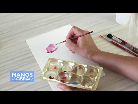 Conny Mellien Becker con Plantec Argentina en ManosalaObraTV 2020 Programa 4 - Pintar Flores