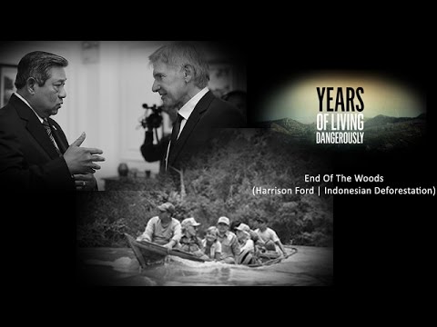 Years Of Living Dangerously - End of The Woods (Indonesia Deforestation Scenes Only) Teks Indonesia