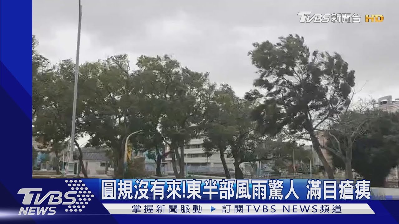 圓規沒有來!東半部風雨驚人 滿目瘡痍