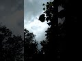 Jab Chali Thandi Hawa Old Song Nature Whatsapp Status Video