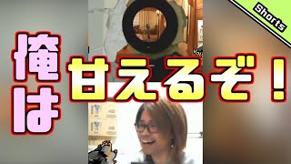 【R6S】俺は甘えるぞ！ジョジョ！[ENG sub] #shorts
