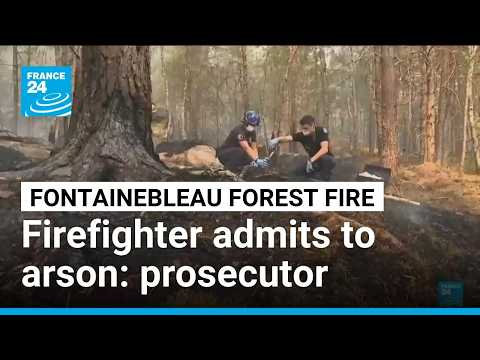 Volunteer firefighter admits to starting a fire in the Fontainebleau forest