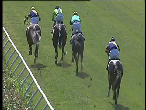 Galoppo 31/05/2017 - 1ª corsa