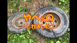 綾瀬川のデカさも半端ないけど、ゴミのデカさも半端ない⁉ #Shorts