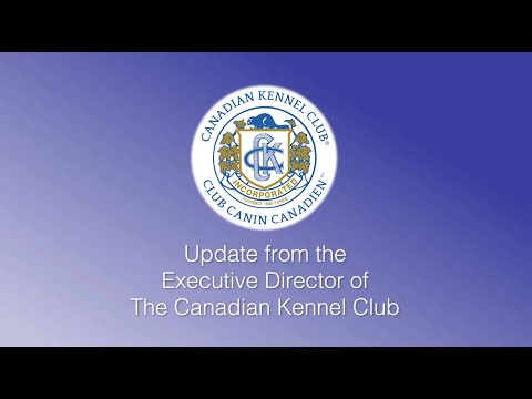 Update from CKC's Executive Director (July 28, 2020)