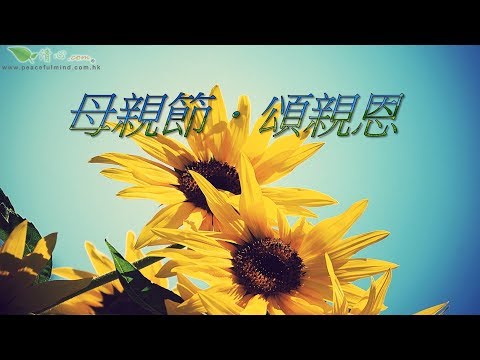 母親節．頌親恩