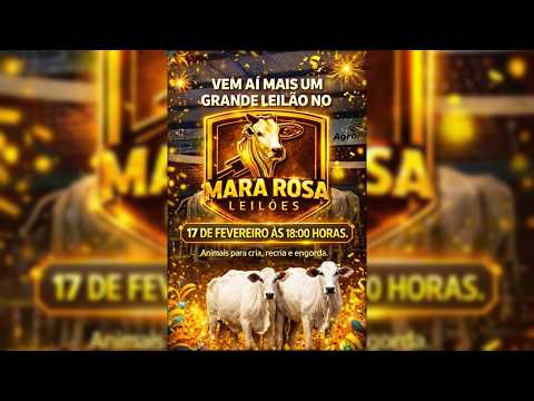 MARA ROSA LEILÕES - GOIÁS - LEILÃO DE GADO DE CORTE 17/02/2026