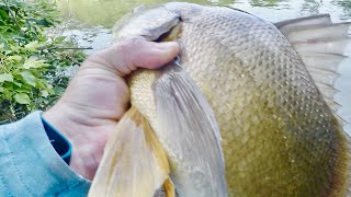 This Fish was BIGGER than I Thought!