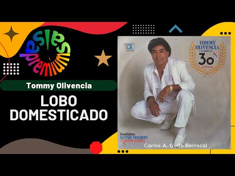 🔥LOBO DOMESTICADO por TOMMY OLIVENCIA con HECTOR TRICOCHE - Salsa Premium