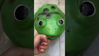 O SAPO MORDEU O DEDO DA TIA RUTE 😮🐸
