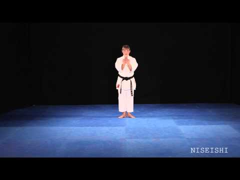 Shito Ryu Shukokai Niseishi Front View