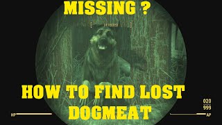 FALLOUT 4 - How To Find Lost Dogmeat