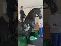 Equestrianlife Ponyclub First Time On Mechanical Horse Ponyfun