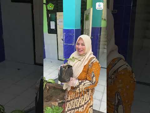 Video 5