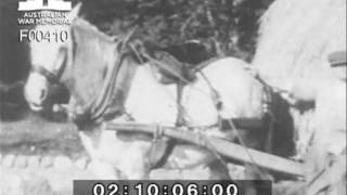 HMAS Australia 1944-1945 / Geoffrey Preston Hood