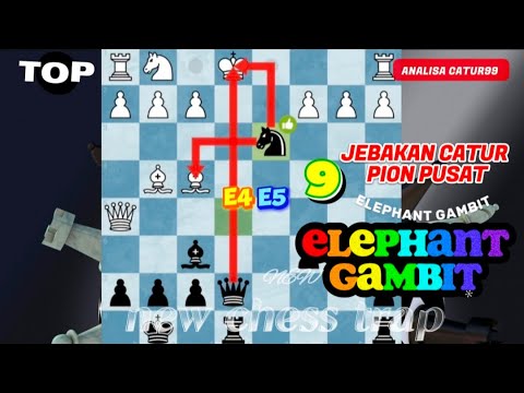 Chess trap ELEPHANT GAMBIT | Chess analysis