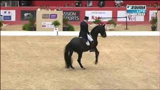 Video von Silvano 71