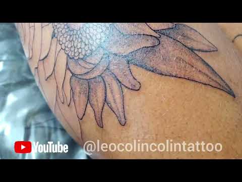 Tatuagem floral sunflower tattoo Leo Colin tattoo