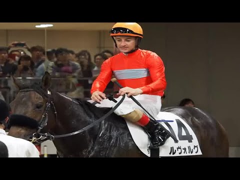 【新馬戦】ルメール「真面目で乗りやすかった」ルヴォルグがデビュー戦圧勝