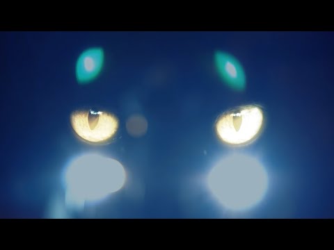 KASTRACIJA - AUGSTAAK (Official Music Video)