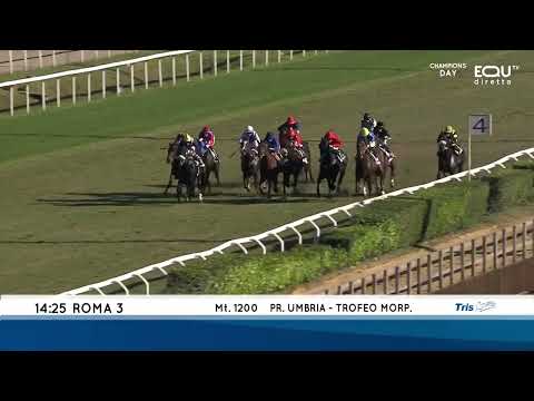 Premio Umbria - Gruppe 3